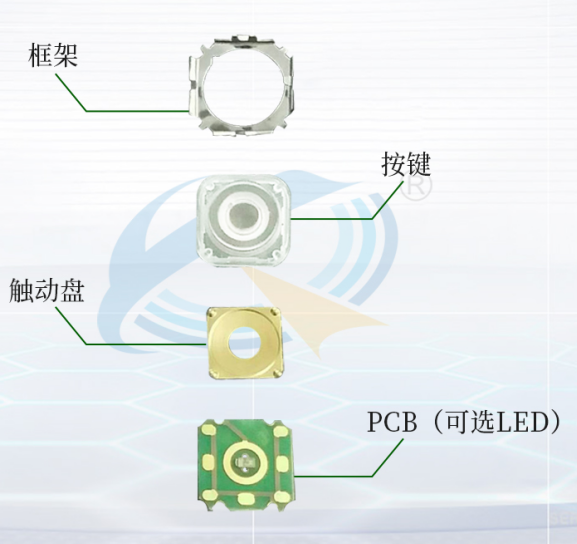 輕觸開關 輕觸開關
